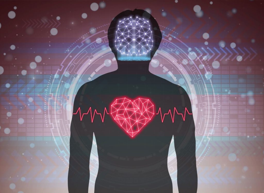 Brain and heart health vector